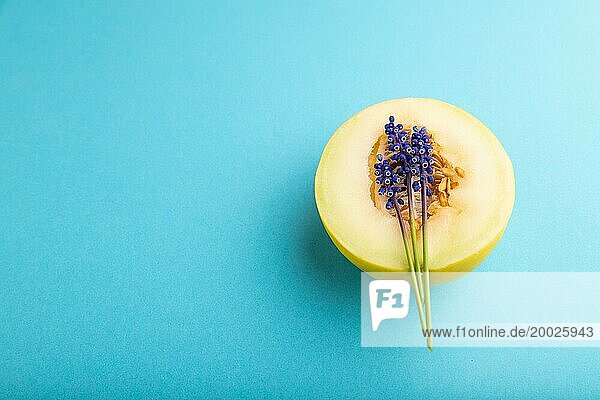 Aufgeschnittene reife gelbe Melone und Hyazinthenblüten auf blauem pastellfarbenem Hintergrund. Seitenansicht  Kopie Raum. Ernte  Frauen Gesundheit  vegane Ernährung  Konzept  Minimalismus
