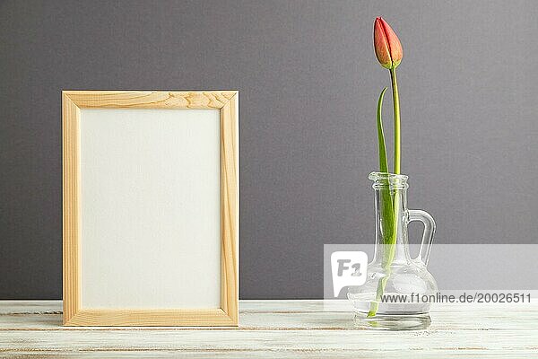 Holzrahmen mit roter Tulpenblüte im Glas auf grauem pastellfarbenem Hintergrund. Seitenansicht  Kopierraum  Stillleben  Mockup  Vorlage  Frühling  Sommer Minimalismus Konzept