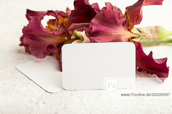 Weiße Visitenkarte mit Iris burgunderrot lila Blumen auf weißem Beton Hintergrund. Seitenansicht  Kopie Raum  Mockup  Vorlage  Frühling  Sommer Minimalismus Konzept