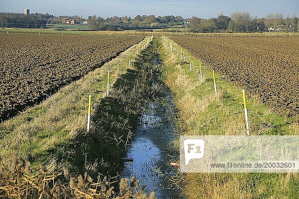 Ackerfelder und gerader Entwässerungsgraben  wiedergewonnenes Sumpfland  Hollesley  Suffolk  England  Großbritannien  Europa