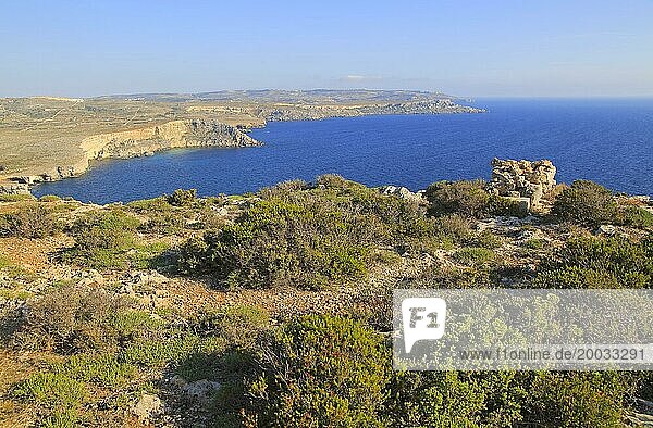 Coastal scenery vegetation blue sea looking south from Res il-Qammieh  Marfa Peninsula  Republic of Malta