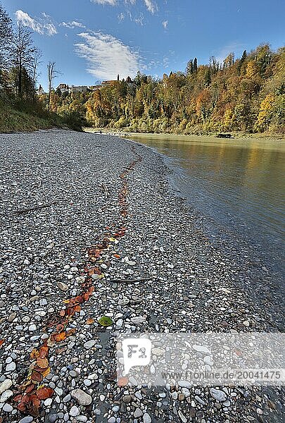 Rote Buchenblätter liegen im Herbst in einer Reihe auf grauen Steinen an einem Fluss  im Hintergrund thront eine Burg auf einem bewaldeten Hügel  Salzach  Burghausen  Oberbayern  Deutschland  Europa