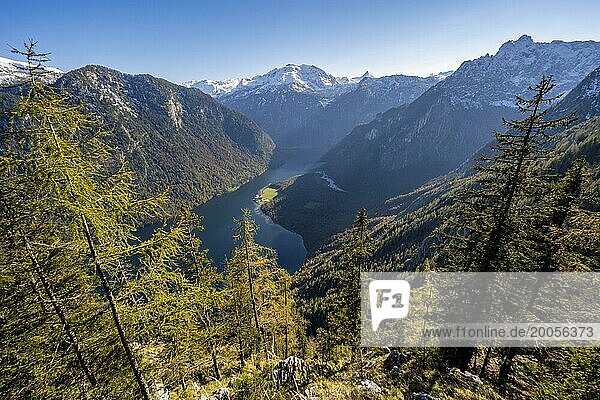Panoramic view of the Königssee from the Archenkanzel viewpoint  autumnal forest and snow-capped mountains  Berchtesgaden National Park  Berchtesgadener Land  Upper Bavaria  Bavaria  Germany  Europe