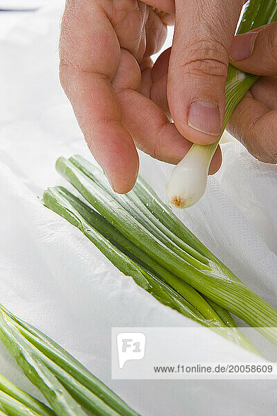 Man's Hands Holding Spring Onions