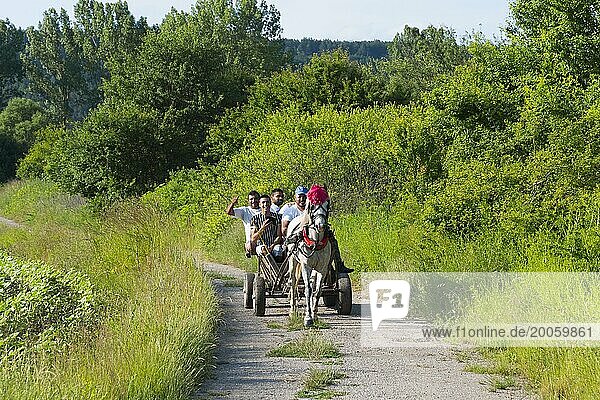 Eine Gruppe von Menschen fährt in einer Pferdekutsche auf einem ländlichen Weg umgeben von Bäumen  Golyamo Novo  Targowischte  Bulgarien  Europa