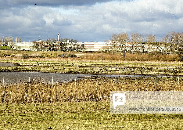 Sumpflandschaft neben dem Gefängnis HMP Warren Hill  Hollesley Bay  Suffolk  England  UK