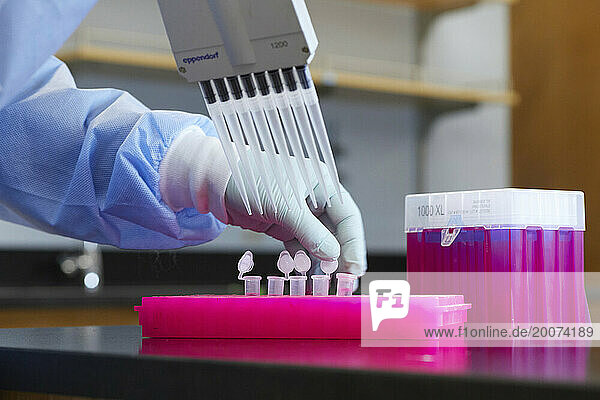Tools and containers in a medical lab  work being done with pipette and samples