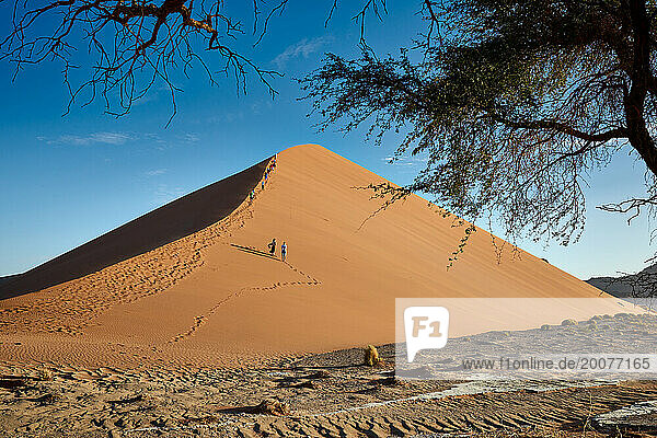 Gruppe von Menschen klettert unter starkem Wind auf die Sanddüne der Namib-Wüste  Namibia  Afrika |group of people climbing up sand dune of Namib desert under strong blowing wind  Namibia  Africa|