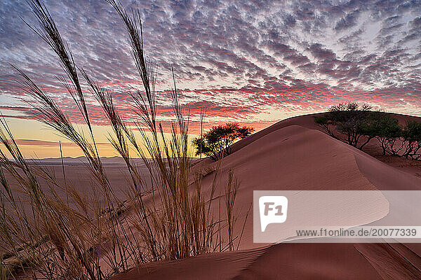 Sonnenuntergang ueber Sandduenen der Namib-Wüste  Namibia  Afrika |sunset over dunes of Namib desert  Namibia  Africa|