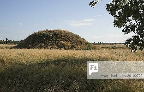 Grabhügel in der angelsächsischen Ausgrabungsstätte von Sutton Hoo  Suffolk  England  Großbritannien  Europa
