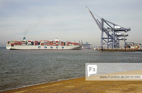Containerschiff Cosco Harmony im Hafen von Felixstowe  Suffolk  England  Großbritannien  Europa