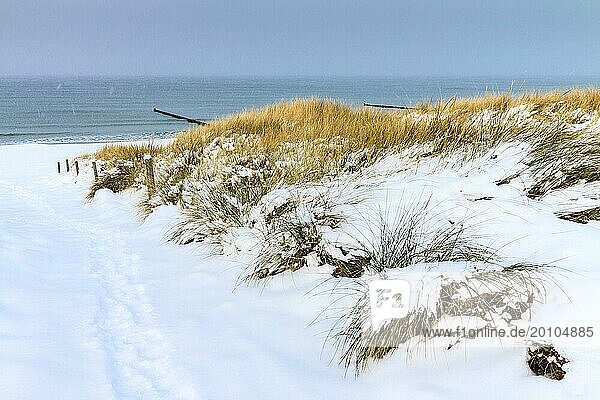 Baltic Sea coast in Ahrenshoop on a day in winter
