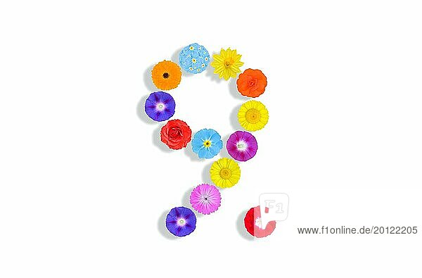 Number written on white background with colorful flowers  Graphic  Illustration