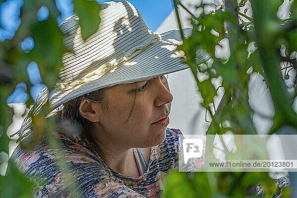 Junges Mädchen mit Hut arbeitet an einem sonnigen Tag in ihrem heimischen Biogarten und schneidet die trockenen Zweige mit einer Schere