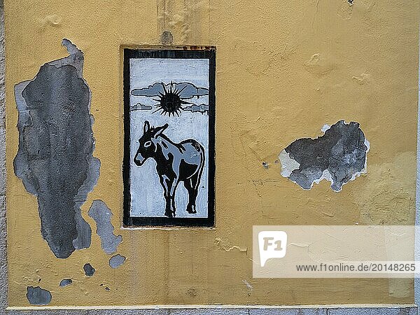 Donkey  graffiti in the old town centre of Rab  island of Rab  Kvarner Gulf Bay  Croatia  Europe