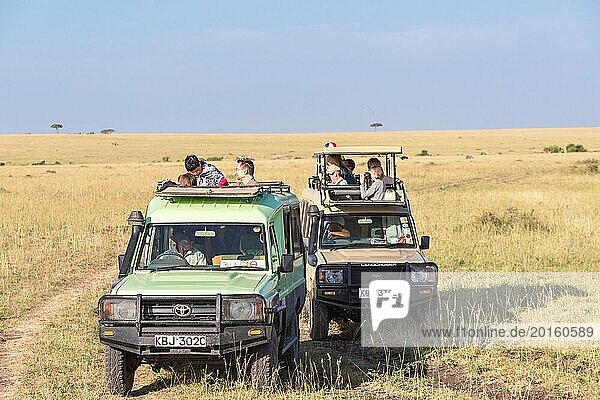 Tourists in safari cars watching and photographing the wildlife on the savanna  Maasai Mara  Kenya  Africa