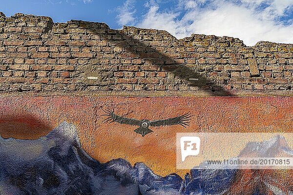 Colourful graffito with the image of an Andean condor (Vultur gryphus)  street art in the city of Punta Arenas  Patagonia  Chile  South America