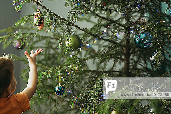 Boy hanging Christmas ornaments on tree at home