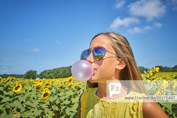 Girl blowing bubble gum in sunflower field on sunny day