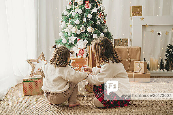 Girls decorating Christmas tree at home