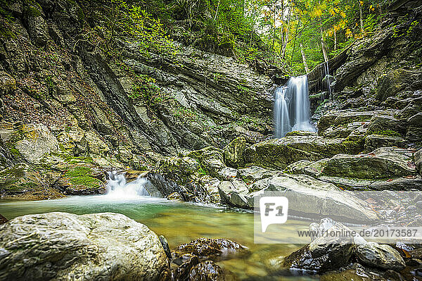 Germany  Bavaria  Oberstdorf  Long exposure of small forest waterfall