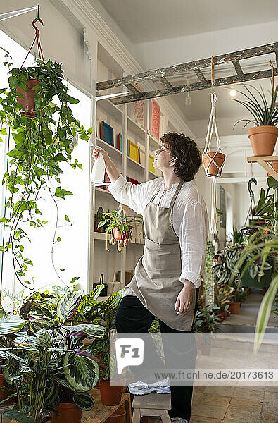 Botanist spraying water on plants hanging at nursery