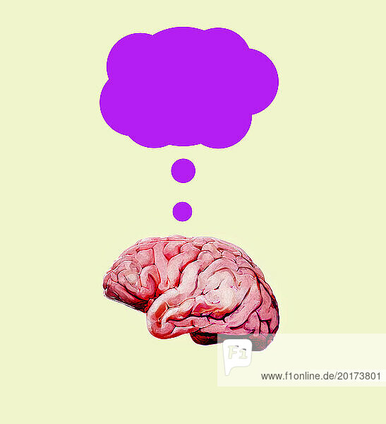 Thought bubble above brain against yellow background