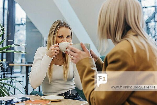 Friends drinking coffee in cafe