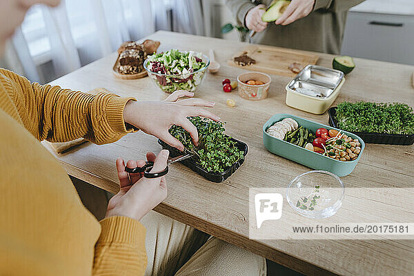 Woman cutting microgreen with scissors for lunch boxes