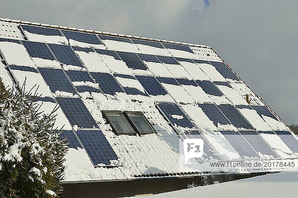 Solarmodule im Winter  Solar modules with snow in winter