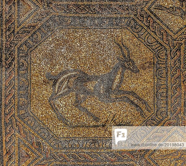 Basilica of Aquileia from the 11th century  largest floor mosaic of the Western Roman Empire  UNESCO World Heritage Site  important city in the Roman Empire  Friuli  Italy  Aquileia  Friuli  Italy  Europe