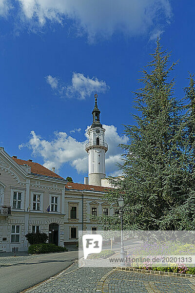 Feuerturm, Häuser, historisch