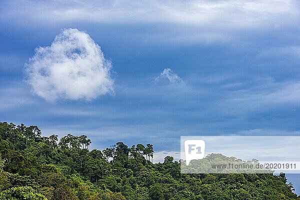 Wolkengebilde auf Ko Rok Yai  Wolke  Wetter  schönes Wetter  Form  Wolkenform  Himmel  blauer Himmel  Physik  Regenwald  Natur  Naturschauspiel  Wolkenbild  Wolkenbildung  Naturgewalt  Klima  Klimawandel  klimatisch  Tropen  tropisch  blau  Sommer  grün  Ökologie  ökologisch  Thailand  Asien