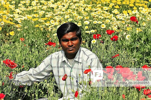 Mann sitzt im Blumenfeld mit Mohnblumen (Papaver)  und strahlt Ruhe aus  Sarnath  Uttar Pradesh  Indien  Asien