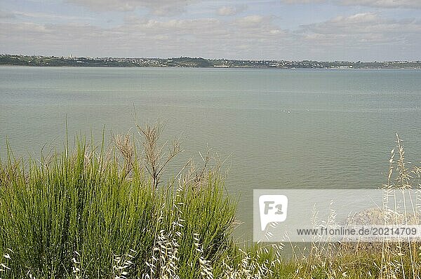 Eine ruhige Seelandschaft mit saftig grünem Gras und einer ruhigen Wasseroberfläche unter einem bewölkten Himmel  Die Bucht von Saint Brieuc von Hillion aus gesehen