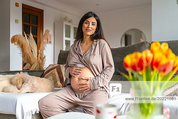 Porträt einer glücklichen  schönen  schwangeren Frau zu Hause  die bequem auf dem Sofa neben einem Hund sitzt