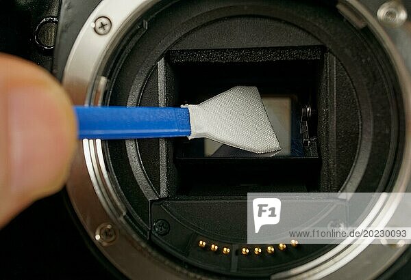Techniker reinigt den Sensor der Digitalkamera mit einem Reinigungstupfer von Staub und Schmutz