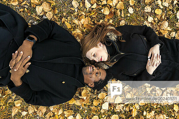 A mixed race couple lying on the ground in the fall leaves  looking at each other face to face  while spending quality time together during a fall family outing in a city park; Edmonton  Alberta  Canada