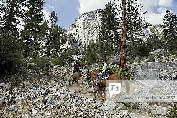 Horses are led through the mountains at King's Canyon National Park; California  United States of America