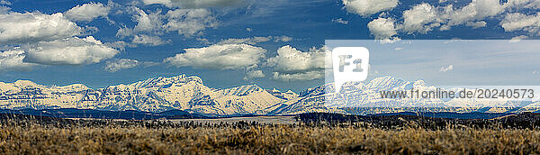 Panorama snow-covered mountain range with blue sky and fluffy clouds  West of High River  Alberta; Alberta  Canada
