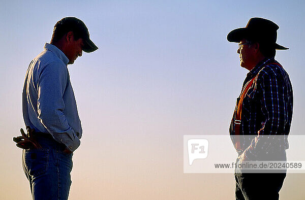 Father and son work together on their ranch; Howes  South Dakota  United States of America