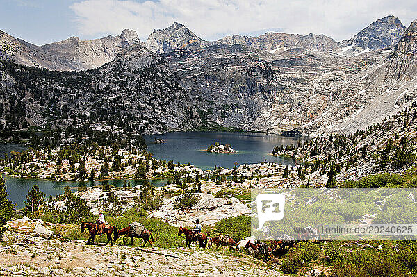 Horses and riders lead a string of pack animals near Sixty Lake Basin in King's Canyon National Park  California  USA; California  United States of America