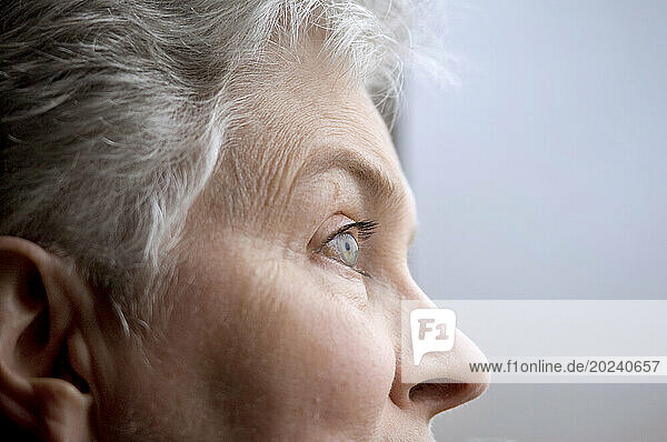 Close-up profile of a senior woman's face as she watches for birds at a bird sanctuary; Gibbon  Nebraska  United States of America