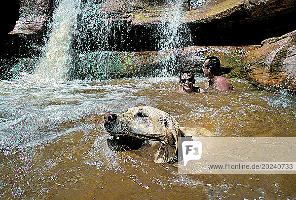 Swimming with the family dog under a waterfall. Campers and canine soak off springtime heat at Indian Creek Canyon  south of Moab  Utah. A magnet for climbers  the area is famous for its climbing routes  especially slit-like 'cracks'. But the canyon hosts few of the crowds that nearby Canyonlands National Park receives as tourists visit the American Southwest; Utah  United States of America