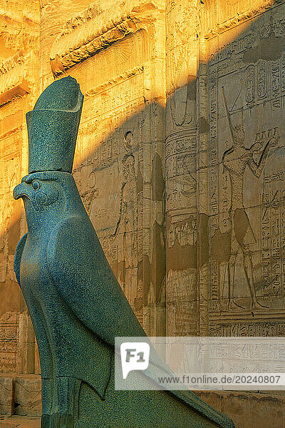 Horus statue at the Temple of Edfu in Egypt; Edfu  Egypt