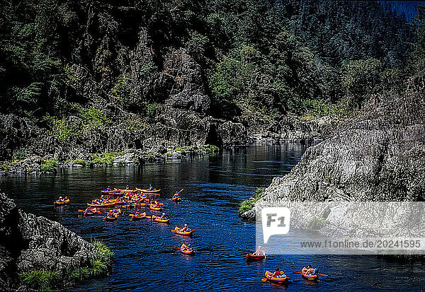 Sea of orange boats float on the placid waters of the Rogue River. Rafters join some 100 000 other day trippers who paddle  float  or kayak the river each year. Nightfall brings tranquility; only a few lucky winners of BLN's annual lottery can continue into the Wild and Scenic portion as it rushes toward the Pacific Ocean near Gold Beach  Oregon  USA; Oregon  United States of America