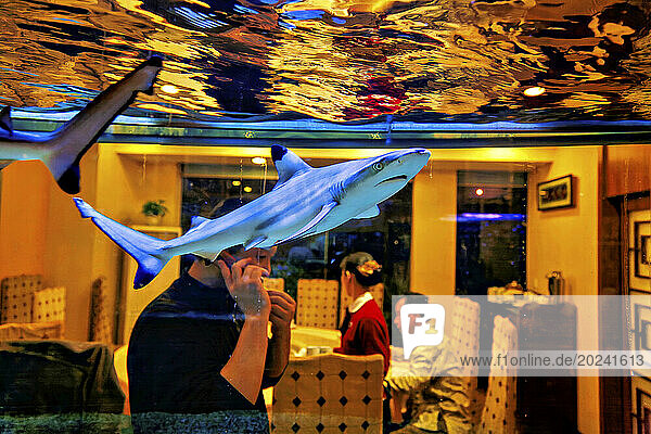 Black tip reef shark (Carcharhinus melanopterus) swims in an aquarium at a seafood restaurant. Sharks are down to 10% of historical populations and a large reason for that is an appetite for shark fin soup in China and other parts of Asia. China consumes the largest quantity of seafood in the world and consequently  imports the most. China’s seafood consumption accounts for 45% of the global volume  meaning 65 million tons out of 144 million tons. It is followed by the European Union – 13 million tons  Japan – 7.4 million tons  the United States – 7.1 million tons and India – 4.8 million tons; China