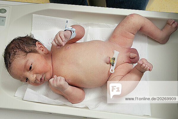The newborn is weighed. Saint Vincent de Paul Hospital  Lille.