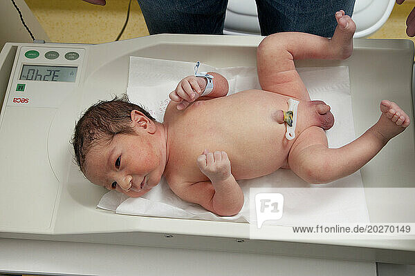 The newborn is weighed. Saint Vincent de Paul Hospital  Lille.