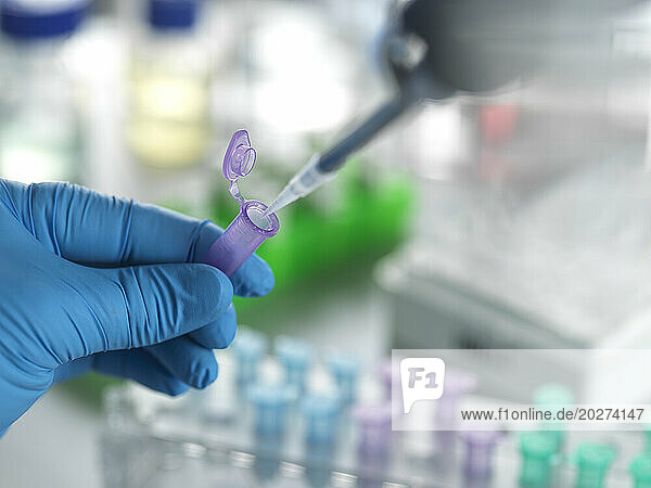 Senior scientist pipetting chemical formula in eppendorf tube at laboratory